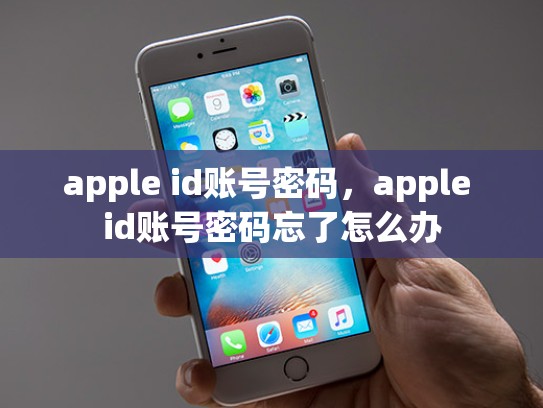 apple id账号密码，apple id账号密码忘了怎么办