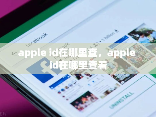 apple id在哪里查，apple id在哪里查看