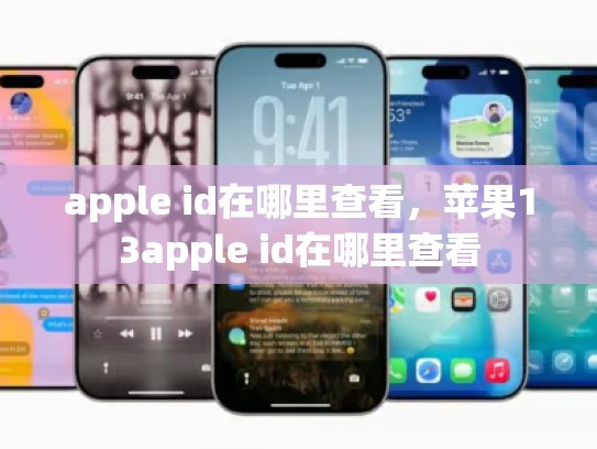 apple id在哪里查看，苹果13apple id在哪里查看
