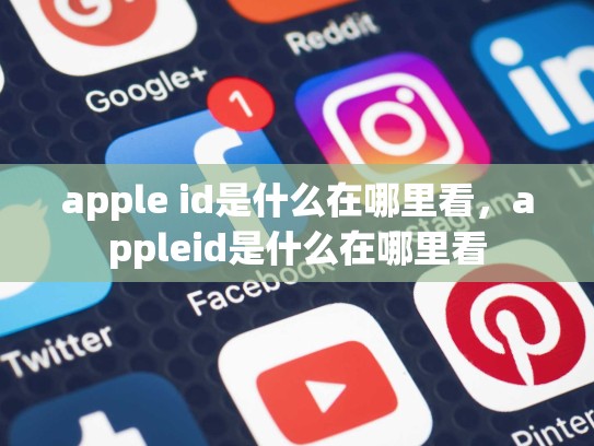 apple id是什么在哪里看，appleid是什么在哪里看