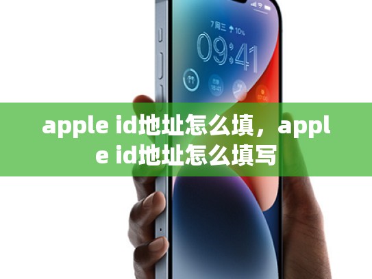 apple id地址怎么填，apple id地址怎么填写
