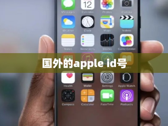 国外的apple id号