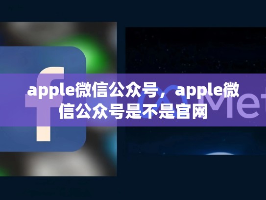 详细阅读:apple微信公众号,apple微信公众号是不是官网 apple微信公众号,apple微信公众号是不是官网