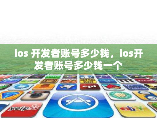 ios 开发者账号多少钱，ios开发者账号多少钱一个