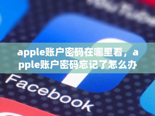 apple账户密码在哪里看，apple账户密码忘记了怎么办