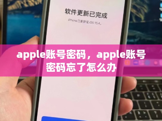 apple账号密码，apple账号密码忘了怎么办