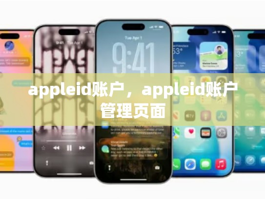 appleid账户，appleid账户管理页面