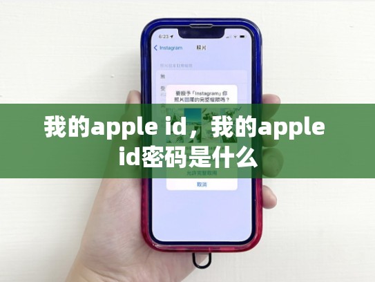 我的apple id，我的apple id密码是什么
